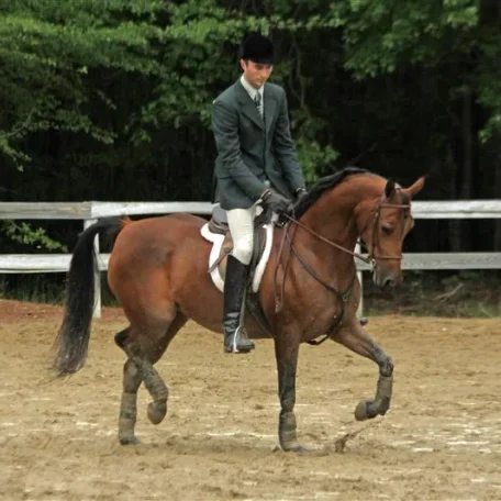 Trixie has her trot back