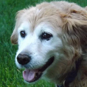 Maggie