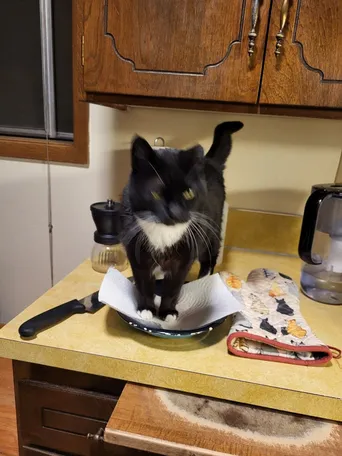 She thinks she's dinner!