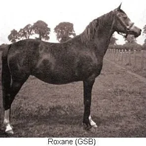 Roxana