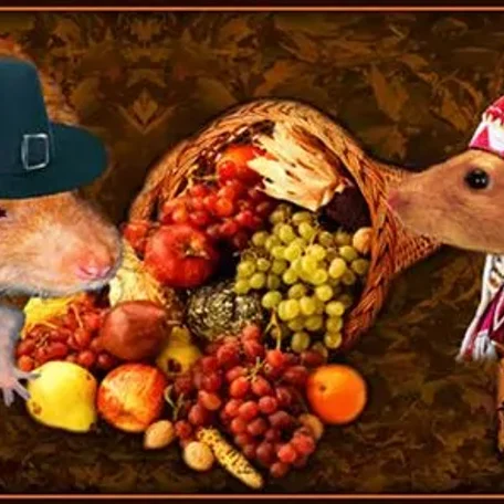 We have a page for all animals on Pedegru