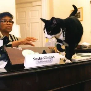 WHITE HOUSE PETS (1953-PRESENT)