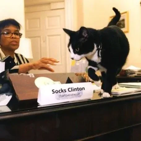 Our U.S. Presidents and some their Pets