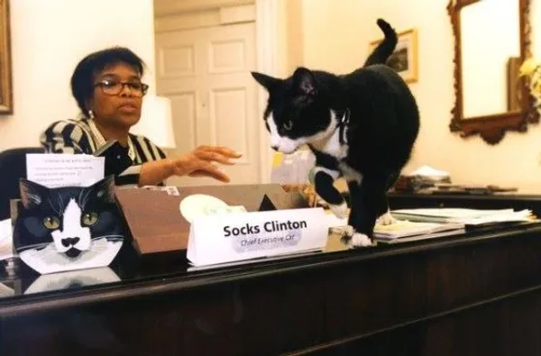 Our U.S. Presidents and some their Pets