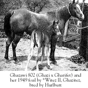 Ghazawi