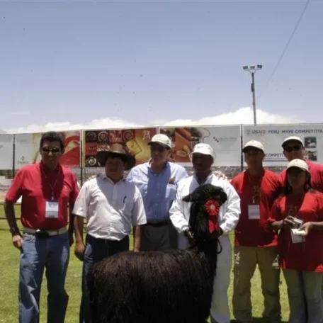 Alpaca Fiesta 2014