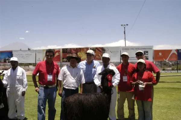 Asociación Internacional de la Alpaca