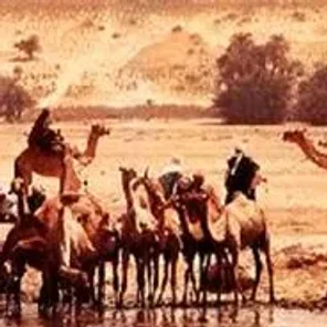 Fezzan