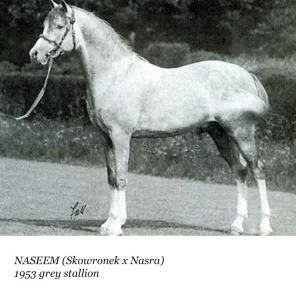 Naseem
