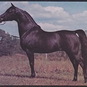 OZEM