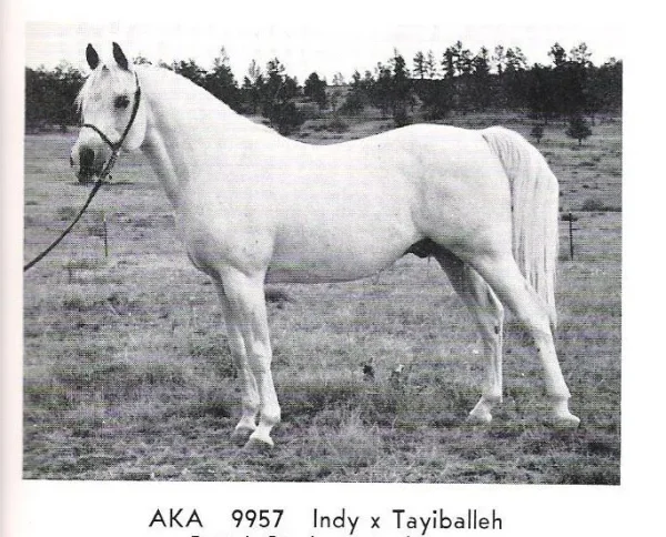 AKA