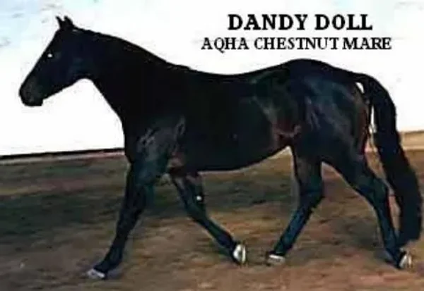 Dandy Doll