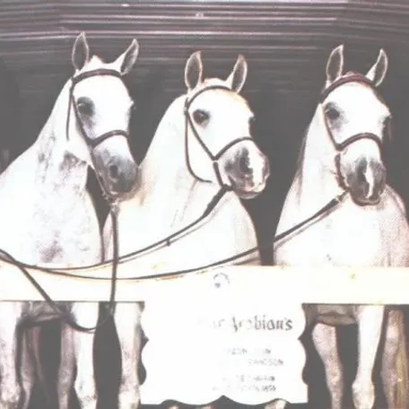 ANNABORR (by *Naborr, right) with FERZONA (left) and AZRAFFA (middle)