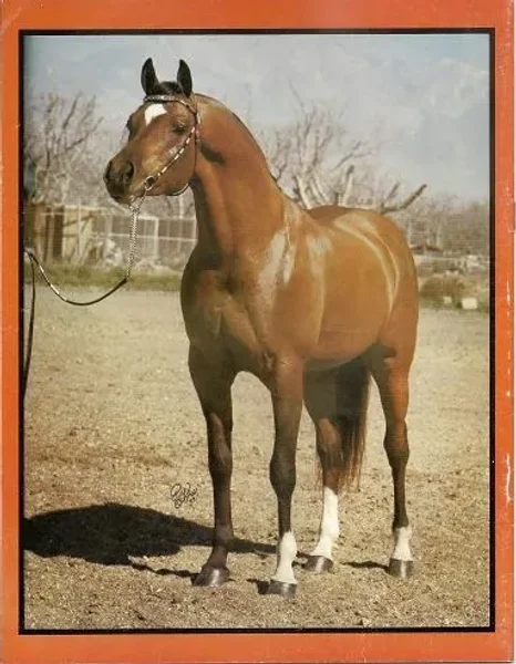 CLASSY MCCOY