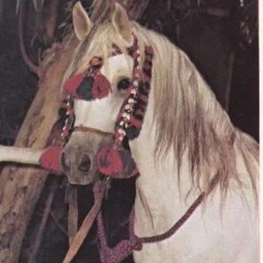 Akhtal