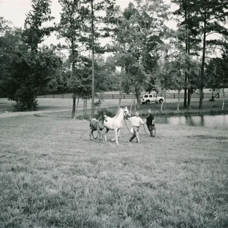 more photo"s of Femme Jolie as a baby.