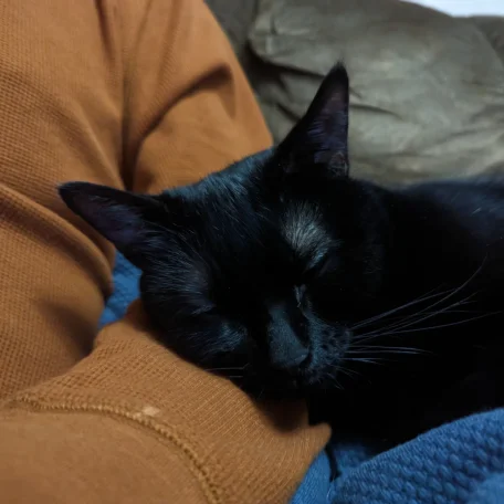 Debugging wore her out...