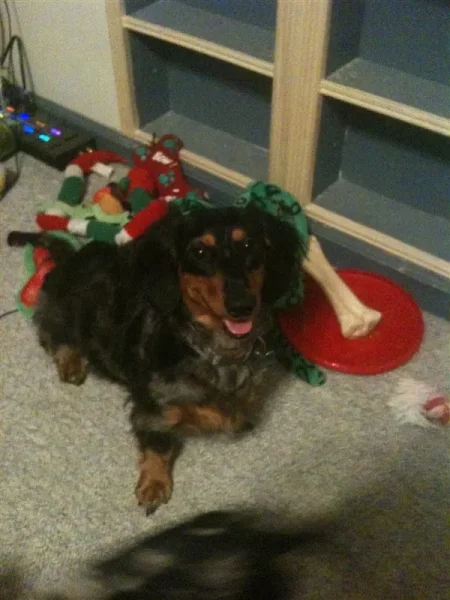 Rudy