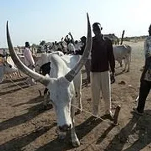 Aweil Dinka