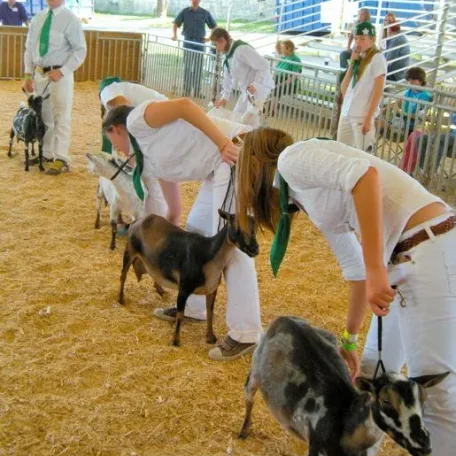Real Old Fashioned Fair in El Dorado, California. If you hanker for the days when a home town fair included all the good and natural parts of life come enjoy our amazing weather, wonderful people, and hilarious and thrilling events!