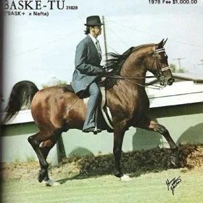 Baske-Tu