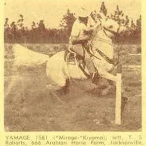 Yamage