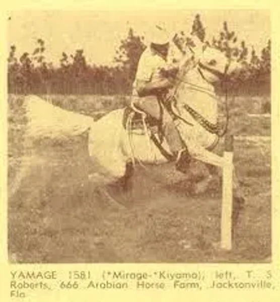 Yamage