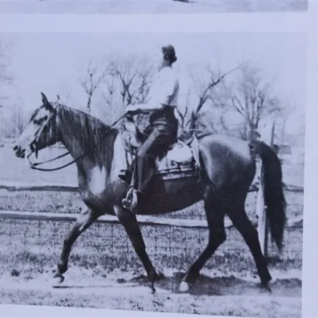 Tiara (Raseyn x Wierna) bay mare, foaled April 25, 1947bred by United States Government