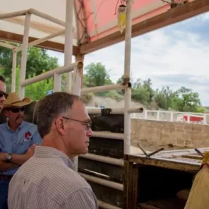 Wild Horse Inmate Program