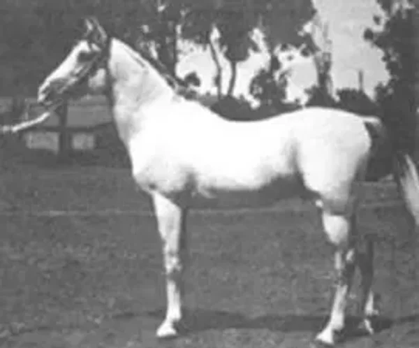 BAIYAD