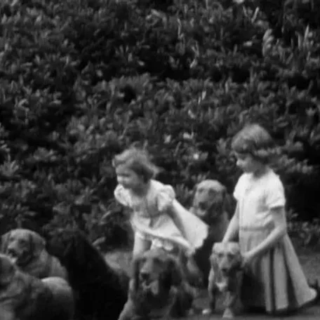 Royal, England, Elizabeth, King Charles the second, Price Robert, Prince William, Catherine (Kate) Middleton