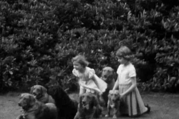 Royal, England, Elizabeth, King Charles the second, Price Robert, Prince William, Catherine (Kate) Middleton