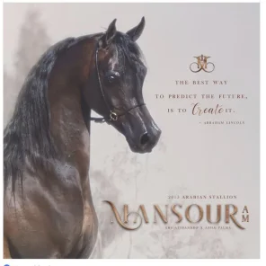 Mansour AM