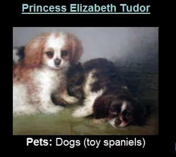 Pets of the Tudors and English Aristocracy