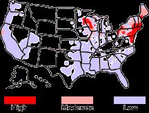 Lyme Disease (Borreliosis) in Dogs