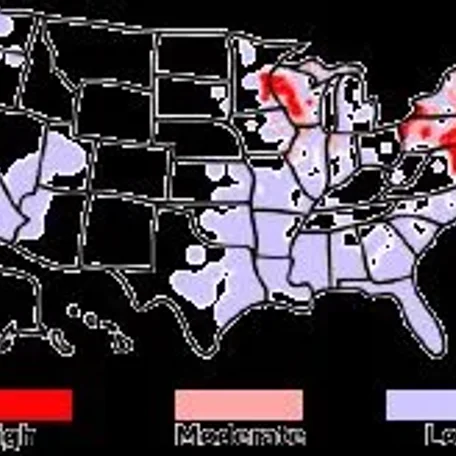 Lyme Disease (Borreliosis) in Dogs