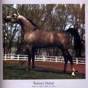 Ramses Mahal
