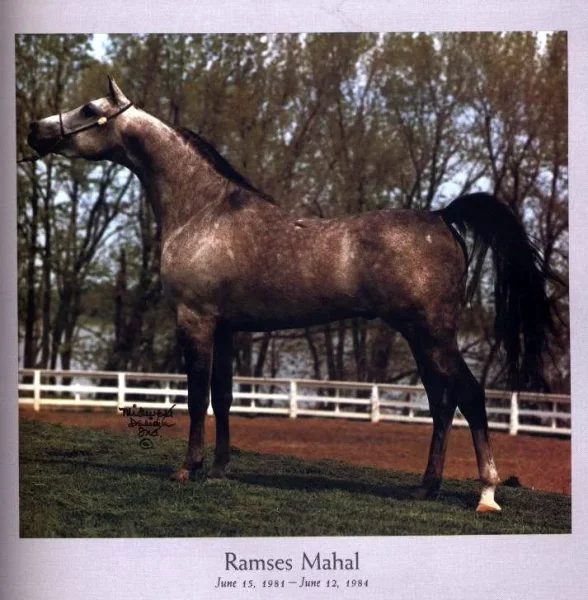 Ramses Mahal
