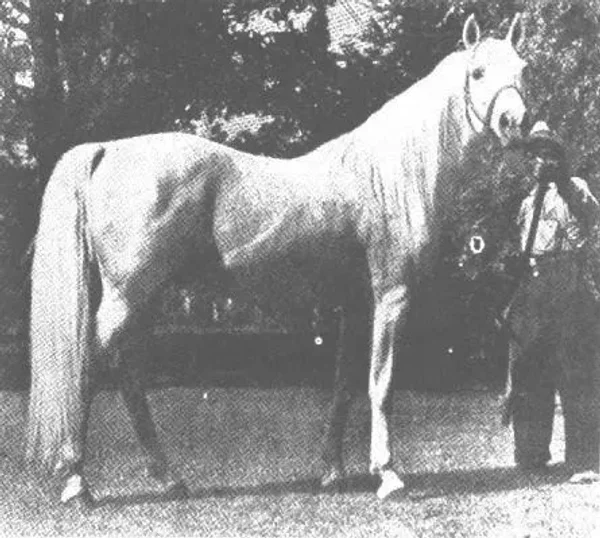Czubuthan