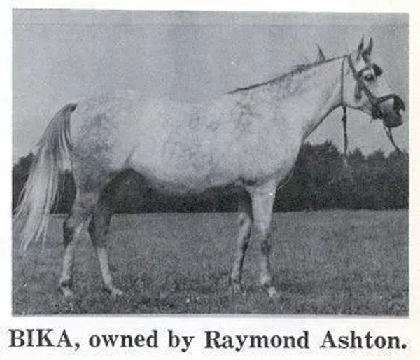 Bika