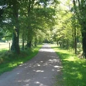 Equestrian Farmhouse For Sale in Tarn, France