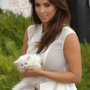 Doggone! Kardashian Family Pets Disappear Into Thin Air