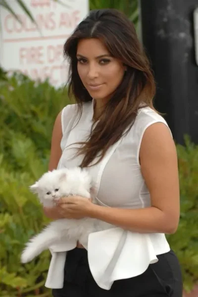 Doggone! Kardashian Family Pets Disappear Into Thin Air