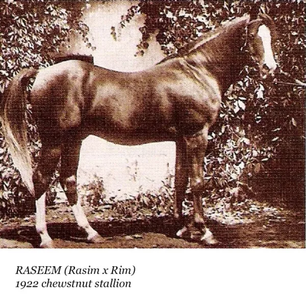 Raseem