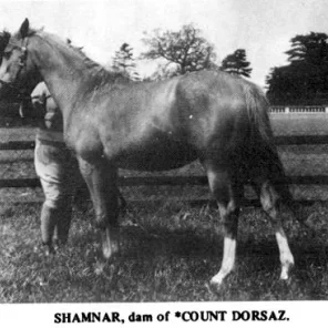 Shamnar