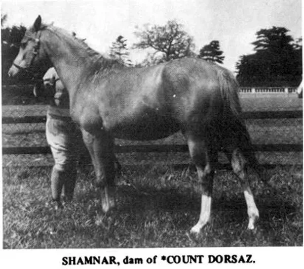 Shamnar