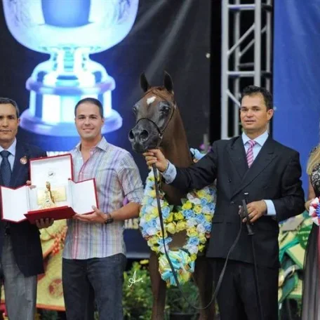 Titan AS El Nabila B × Om El Beladeena
2012 Chestnut
2014 Arabian Breeders World Cup Supreme BRONZE Junior Stallion with Sandro Pinha
2013 Arabian Breeders World Cup Supreme BRONZE Yearling Colt with Sandro Pinha