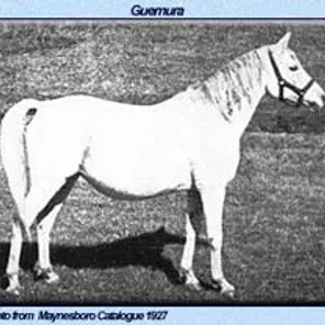 GUEMURA