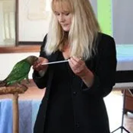Force Free Animal Traning