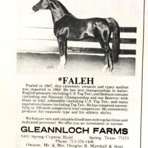 Faleh